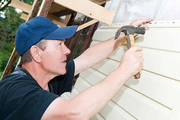 Best Stone Veneer Siding  in Pinehurst, ID